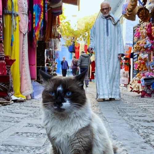 9857498E-7CFB-4650-B04E-A901625275F8